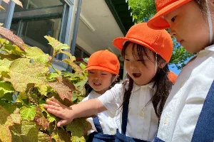 自然あそび